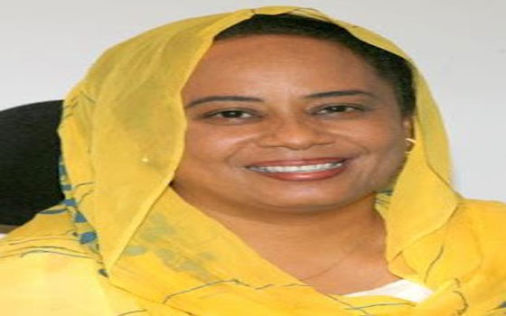 مصر اليوم - الوقت مناسب للمعارضة للتوحد على إسقاط النظام