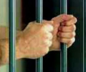   مصر اليوم - إطلاق سراح طبيب بيطريّ بعد دفع فدية١٠٠ ألف جنيه