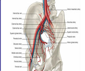   مصر اليوم - الكشف المبكر عن تصلب الشرايين تحت الركبة بأشعة الدوبلكس الملون