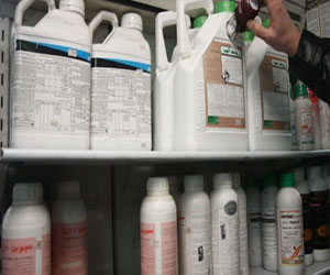   مصر اليوم - ضبط 30 طنًا من المبيدات الزراعية المحظور استيرادها قبل تهريبها داخل البلاد