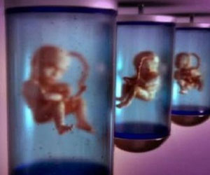   مصر اليوم - مولد 5 ملايين طفل أنابيب في العالم