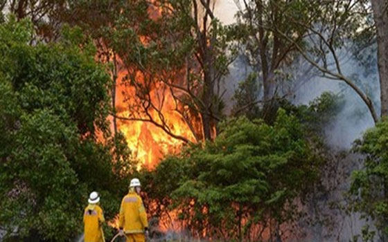 مصر اليوم - الحرائق تهدد محيط سيدني وتشكل خطرًا غير مسبوق على السكان الأوستراليين