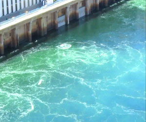   مصر اليوم - منسوب النيل يواصل ارتفاعه أمام السد العالي