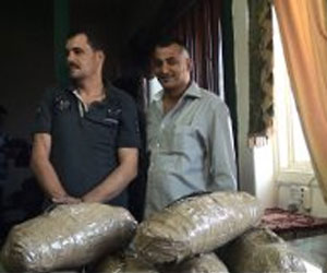   مصر اليوم - ضبط عاطل بحوزته 15 كيلو بانجو في الدقهلية