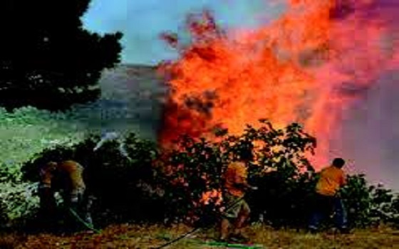 مصر اليوم - ارتفاع درجات الحرارة في المدن الجزائرية بصورة غير مسبوقة