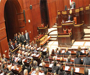   مصر اليوم - خبير دوليّ يؤكّد أن السريّة في وضع الدستور الحاليّ أمرٌ غيرُ مقبول