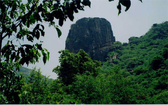 مصر اليوم - محميَّة برع في الحديدة لوحة إلهية بديعة بطبيعتها الخضراء وغاباتها المتنوِّعة