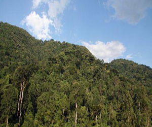   مصر اليوم - علماء يثبتون صحة معتقد ديني للسكان الأصليين فى أستراليا