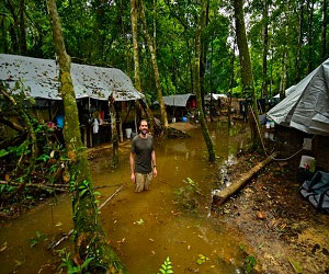 مصر اليوم - اكتشاف 60 صنفًا من الحيوانات في أدغال سورينام