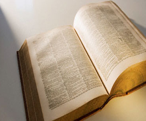   مصر اليوم - كلمات جديدة تدخل قاموس اللغة الهولندية منشأها الانجليزية والإنترنت