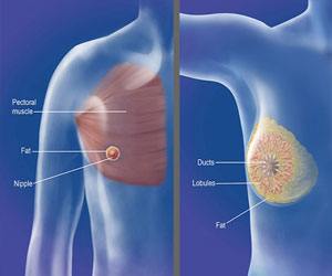   مصر اليوم - باحثون ألمان يتوصلون إلى تقنية جديدة للوقاية من أورام الثدي