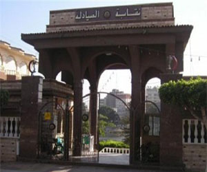   مصر اليوم - نقابة الصيادلة تشهد أزمة بين جماعة الإخوان وحملة تمرد