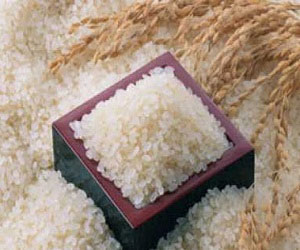   مصر اليوم - إحباط تهريب 60 طن أرز عبر حدود البحر الأحمر إلى السودان