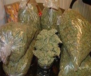   مصر اليوم - ضبط 5 كيلو بانجو بحوزة عامل في قنا