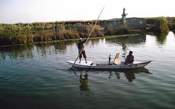 مصر اليوم - صيادو المنزلة يستنجدون بمسؤولي الداخلية بعد سيطرة البلطجية على البحيرة