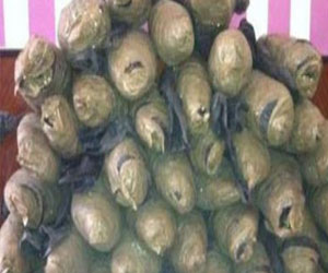   مصر اليوم - ضبط 18 كيلو جرامُا من مخدر البانجو في منزل أحد التجار