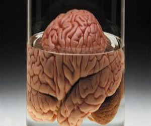   مصر اليوم - إتفاقية لتنظيم نقل وزراعة الأعضاء البشرية