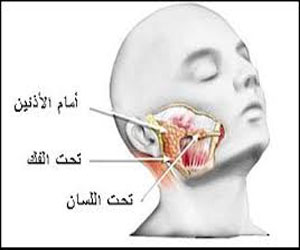   مصر اليوم - شفاء 22 مجندًا في البحر الأحمر من الغدَّة النكافيَّة