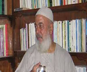   مصر اليوم - الإسلاميّة تؤكّد صعوبة جهود الوساطة في مصر