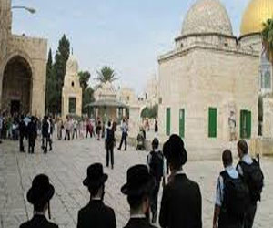   مصر اليوم - عشرات المستوطنين اليهود يقتحمون المسجد الأقصي المبارك