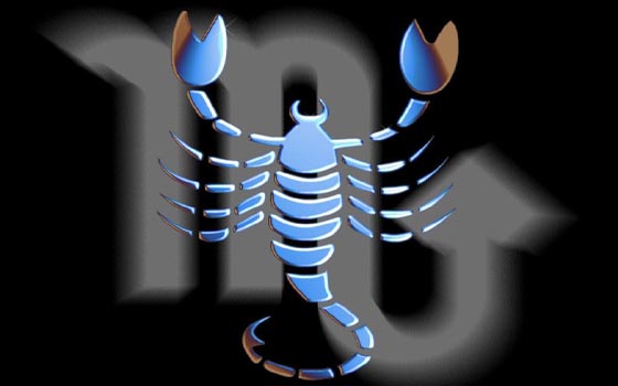   مصر اليوم - العقرب غامض ودود ويرمز إلى المخلوق الذاتيّ التوجيه بإرادة من فولاذ