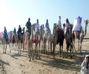   مصر اليوم - مهرجان هجن شمال سيناء في  25 كانون الأول المقبل