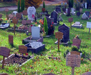   مصر اليوم - وفاة سيدة إثر سقوطها في قبر زوجها