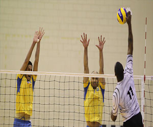   مصر اليوم - أتحاد الطائرة يعين جمال شيحة رئيسًا لبعثة المنتخب في تصفيات المرحلة الثانية الأفريقية