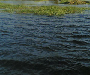   مصر اليوم - الموارد المائية : تنفيذ 263 مشروعًا مائيًا وفرت 45 مليون متر مكعب من المياة