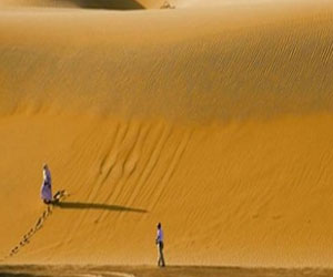   مصر اليوم - النيجر تعلن الحداد على أرواح المهاجرين الذين لقوا مصرعهم بسبب العطش