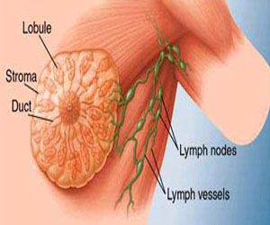مصر اليوم - تدشين أول مجلة إلكترونية عن سرطان الثدى فى السعودية