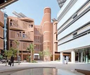   مصر اليوم - كهرباء أبوظبي تشارك في المنتدى العربي الألماني للطاقة