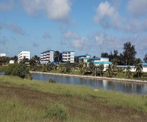 مصر اليوم - طلاب من 124 بلدًا يدرسون الطب مجانًا في كوبا