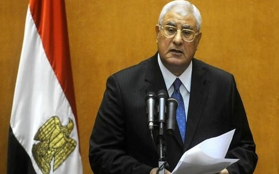   مصر اليوم - منصور يدعو إلى تكاتف العرب في صد التهديدات الأمنية عن المنطقة