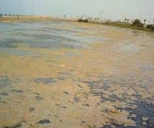   مصر اليوم - البيئة والبترول تنفذان تجربة وهمية لرفع الأستعداد على المستوي القومي لمواجهة التلوث البحري