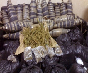   مصر اليوم - أمن البحر الأحمر يضبط 40 كيلو مخدرات و9 آلاف هارب