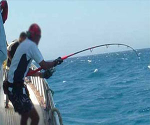   مصر اليوم - انطلاقُ مسابقةِ الغردقّة لصيّدِ الأسماكِ الثُلاثاء