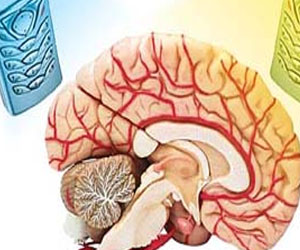 مصر اليوم - الأثار البيولوجية نتيجة التعرض للموجات الأشعاعية