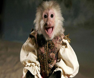   مصر اليوم - حجم الحيوانات يتقلص مع التغير المناخى