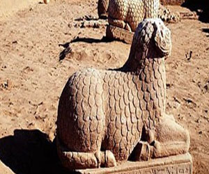   مصر اليوم - مدير مشروع القاهرة التاريخية: أستغلال الوكالات الأثرية وتحويلها لفنادق تراثية