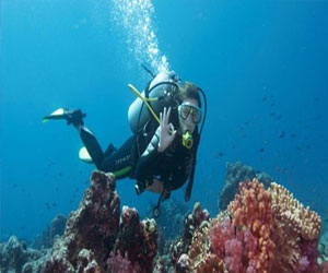   مصر اليوم - إنهاء المعسكر الكشفي في محميات البحر الأحمر