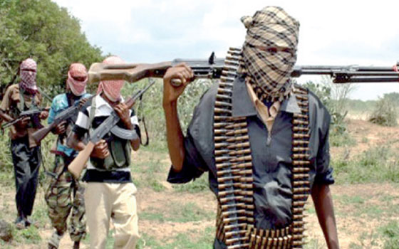   مصر اليوم - بن عرفة : ظاهرة الإرهاب والتطرف ما زالت في بدايتها ومحدودة