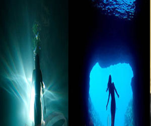   مصر اليوم - البيئة: تحنيط عروس البحر النافقة بمعهد علوم البحار في الغردقة