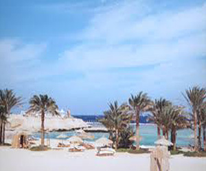   مصر اليوم - مهرجان إيطاليّ لدعم السياحة في مرسى علم والغردقة والقاهرة