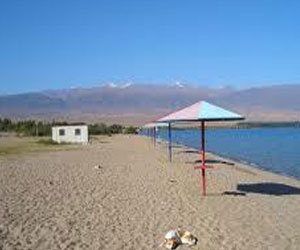   مصر اليوم - شجرة أسكتلندية تدخل مسابقة أوروبية