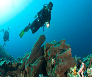   مصر اليوم - احتمال نفوق المحار بسبب الرمال المترسبة في ساحل الخيران