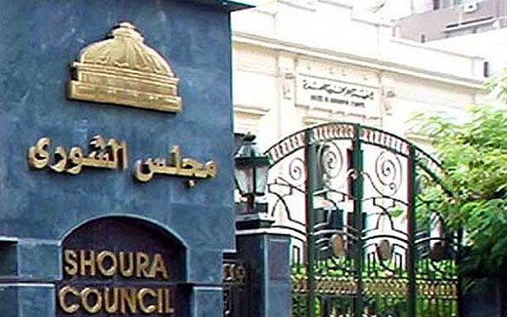  مصر اليوم - سياسيون مصريّون يُرحبون بقرار لجنة الخمسين بإلّغاء مجلس الشورى