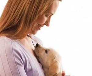   مصر اليوم - البريطانيات مولعات بحيواناتهن الأليفة أكثر من رجالهن