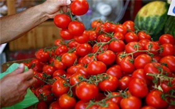 مصر اليوم - مصر ولبنان ينفيان وجود أي نوع من البندورة الإسرائيلية في اسواقهما