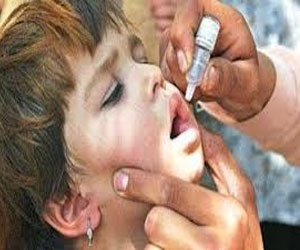   مصر اليوم - الدولارات لمكافحة مرض المالاريا المنتشر في العالم